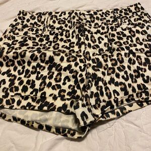 Torrid High Waist Leopard Print Shorts